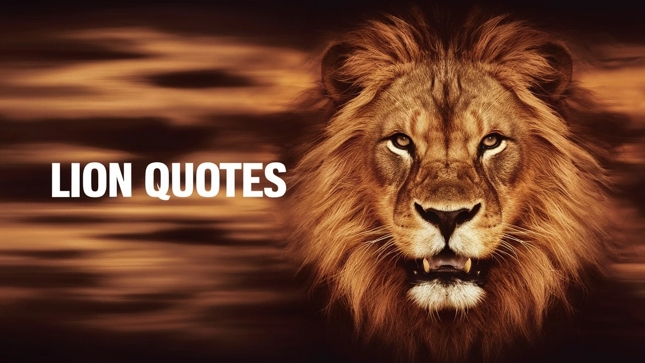 Lion Quotes