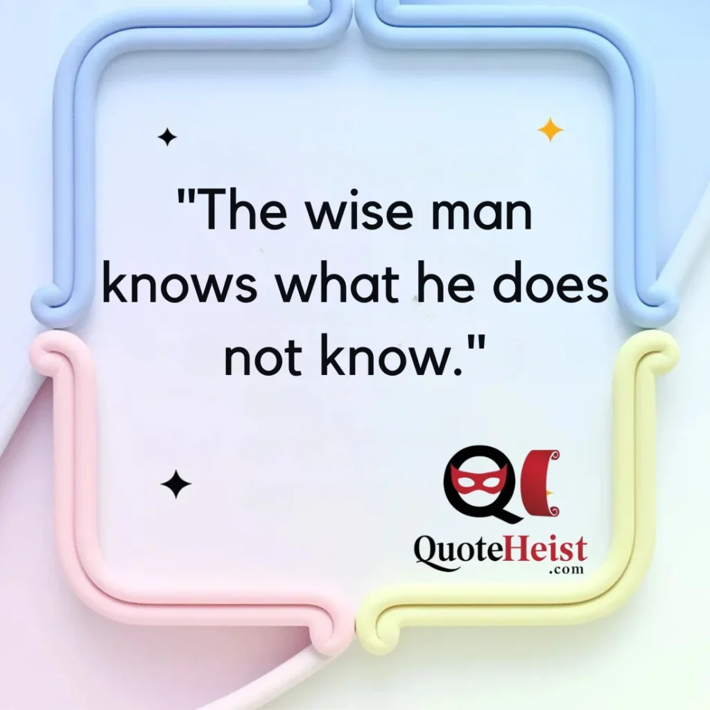 "The wise man knows what he does not know."